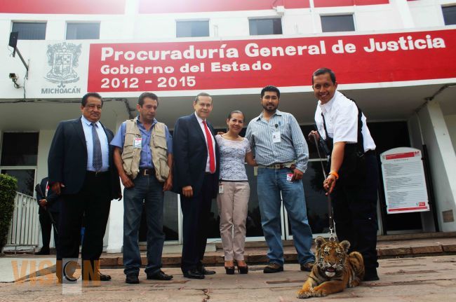 Entrega PGJE al parque zoológico “Benito Juárez” un tigre de bengala asegurado.