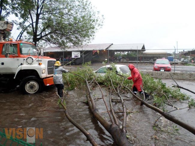 Protección Civil atiende emergencias ocasionadas por tormentas