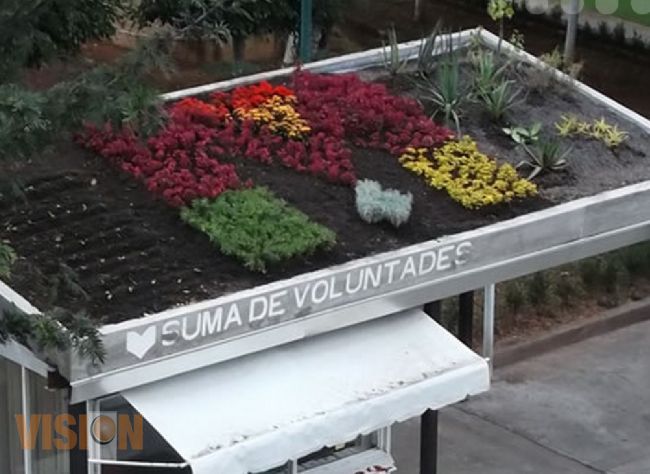 Ayuntamiento de Morelia invita a cuidar el ambiente con azoteas verdes.