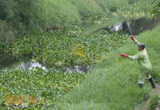 Ayuntamiento de Morelia retira más de 6 mil toneladas de azolve en 15.3 kilómetros de cauce.