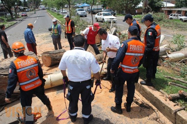 Alerta máxima por constantes lluvias