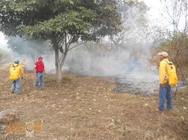 Cierran Federación y Estado temporada de combate a incendios forestales 2014.