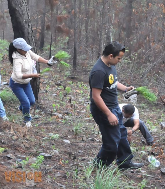 Al conmemorar el día del árbol arranca temporada de reforestación en el ZAPIÉN