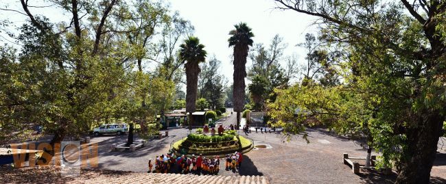 Ven y vive la aventura en el Zoológico de Morelia este verano.
