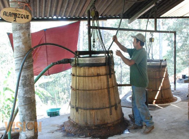 El mezcal moreliano, de los mejores del Estado.
