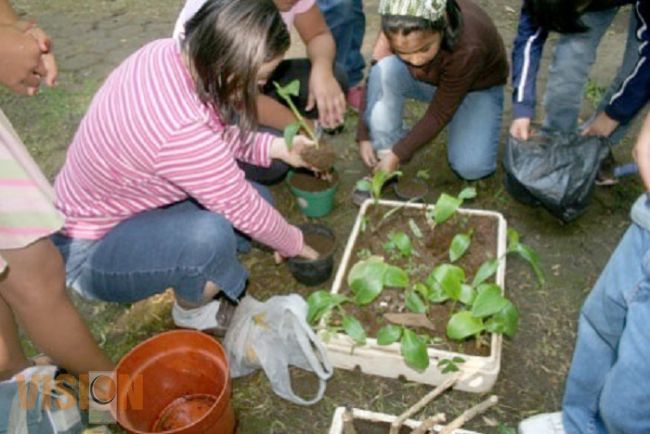 Inicia curso de verano, en el Parque Nacional