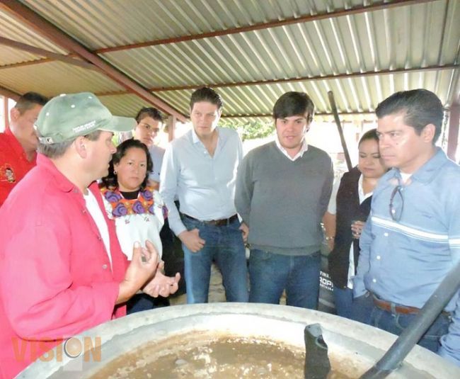 Respalda al sector mezcalero michoacano el diputado Alfonso Martínez