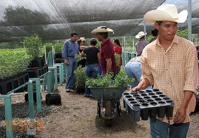 Entregaron 4,015,000 pesos para jóvenes emprendedores rurales