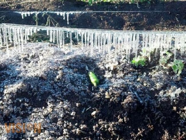 Gobernador registra firma electrónica para acceder a recursos para contingencias climatológicas