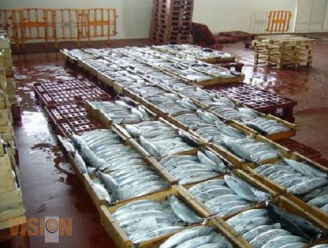 Destinan 8.7 millones de pesos para concluir lonja pesquera
