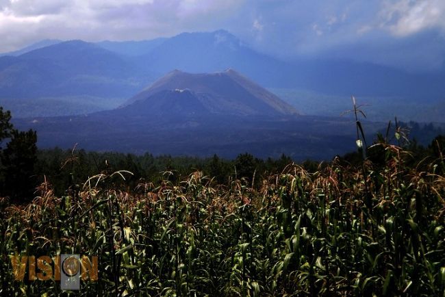Extremar cuidados, en la  zona del volcán Paríkutin