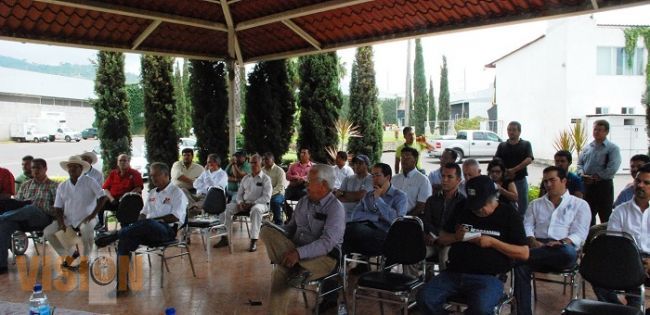 Michoacán, productor número uno de frutillas en México