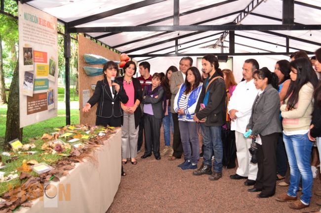 Más allá de mitos, los hongos sí actúan como neurotransmisores: MGP