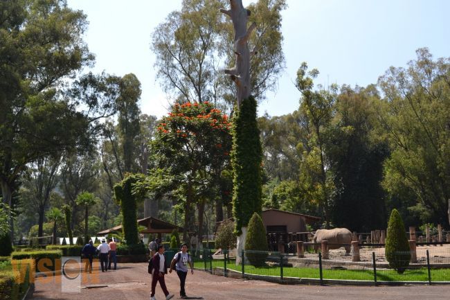 Este verano incrementó afluencia del parque Benito Juárez