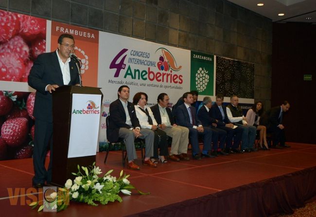 Morelia, sede del Cuarto Congreso Internacional de AneBerries