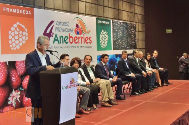 Michoacán sigue siendo principal productor de frutillas a nivel nacional.