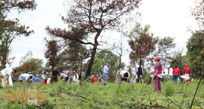 Jornada de reforestación en el  Cerro de Jicalán