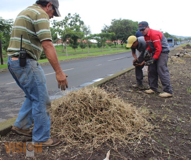 Con el mantenimiento del Boulevard Industrial las ventas han crecido para los locatarios