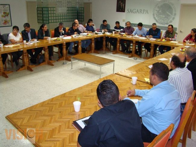 Fortalecen exportación de aguacate michoacano a Japón 
