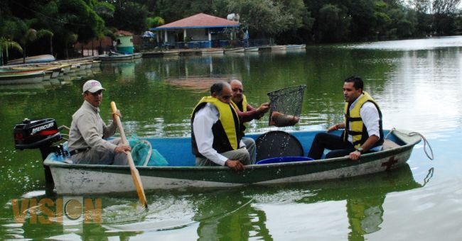 Siembran 120 ejemplares adultos de tilapia y bagre en el Zoológico Benito Juárez.