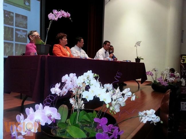 Calzada de San Diego, escenario para el Festival de la Orquídea, del 3 al 5 de octubre.