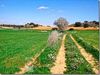 Urgen mayores apoyos al campo y es apremiante