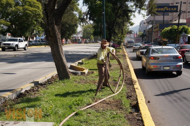 Renuevan jardines en camellones de avenida camelinas.