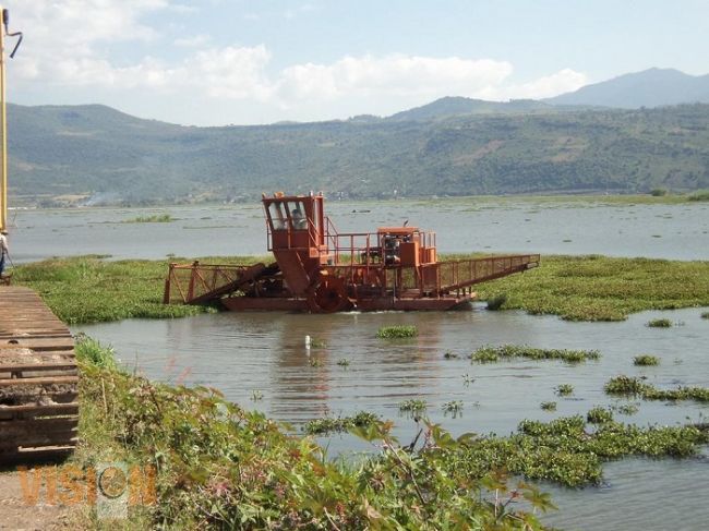 Supervisan avances de limpieza de la presa Malpaís
