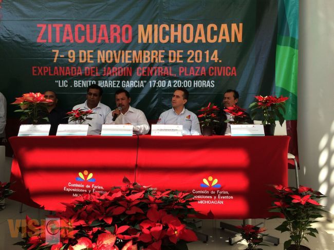 Se realizará el tercer festival cultural y artístico de la flor de nochebuena 2014.