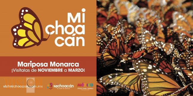 Apoyo constante a Mariposa Monarca: Sectur Michoacán.