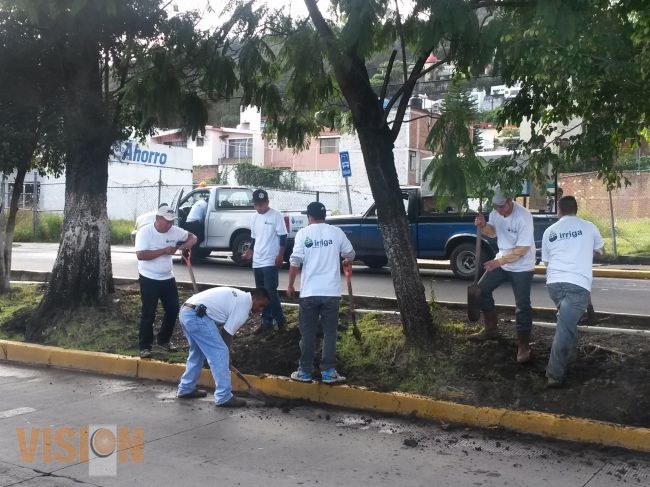 Cumple Ayuntamiento compromiso de mantener un Morelia verde y saludable.
