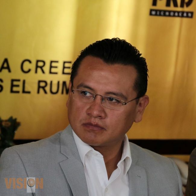 Por corruptelas panista, ASM obligada a revisar proceso de conformación del decreto 22: Torres Piña