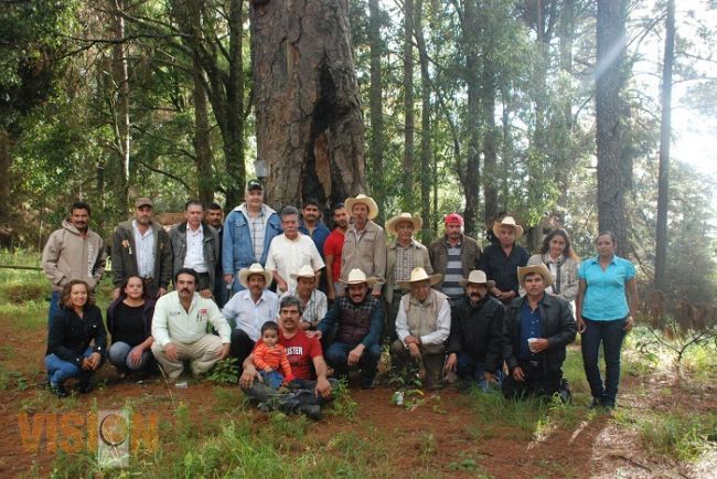 Respaldar proyecto productivo  para acelerar actividad económica, prioridad del gobierno estatal