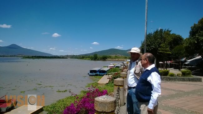 Refuerza Compesca retiro de lirio acuático en el Lago de Pátzcuaro.