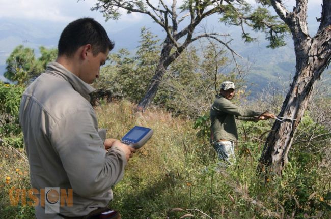 Lista la Actualización del Inventario Forestal y de Suelos del Estado de Michoacán.