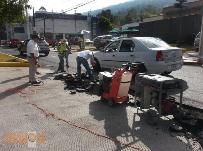 Coloca Ayuntamiento sistema de riego por aspersión en la avenida camelinas.
