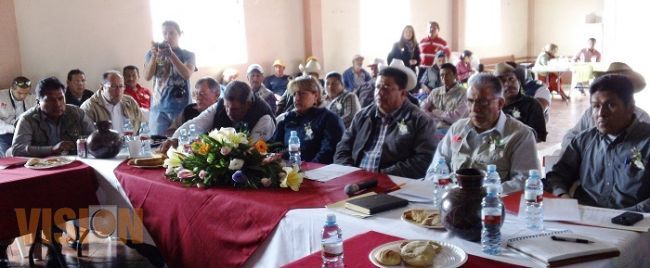Sector forestal, eje para el desarrollo de Michoacán