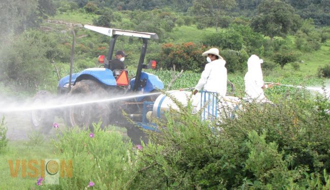 Fortalecer capacidad económica de los productores agrícolas: JRL.