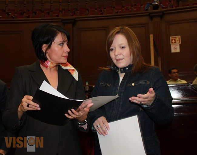 El PAN apegado a la legalidad en las instituciones: Laura González