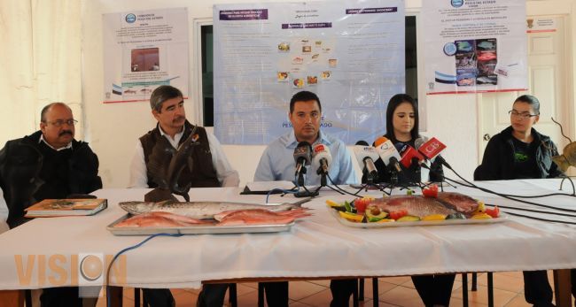 Comercialización de 30 toneladas de productos pesqueros y acuícolas, meta de Compesca.