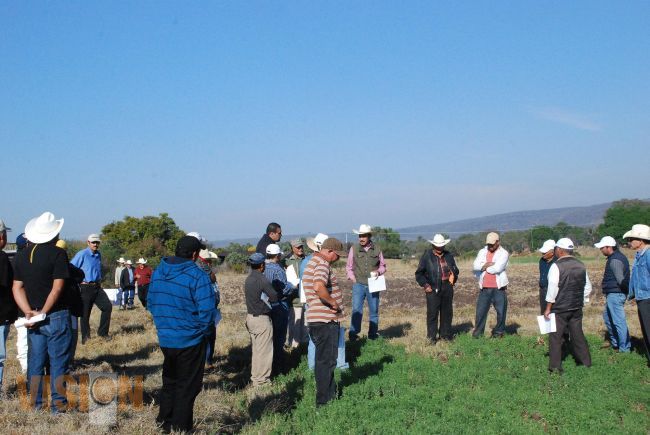 Sedru busca mejorar la calidad de la lenteja.