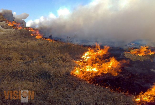Llama Protección Civil y Bomberos de Morelia a prevenir incendios forestales.