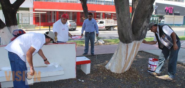 El gimnasio al aire libre del paseo Lázaro Cárdenas se encuentra en mantenimiento
