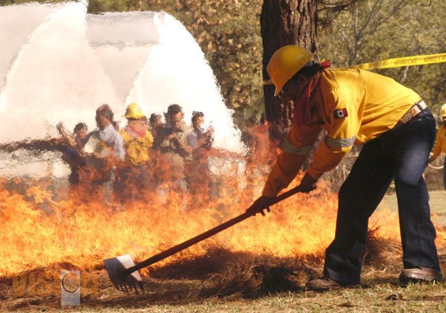 Más de 2000 alumnos han sido capacitados sobre el cuidado del medio ambiente
