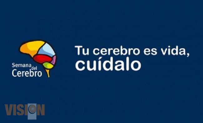 Anuncian la Semana del Cerebro en el Museo de Historia Natural