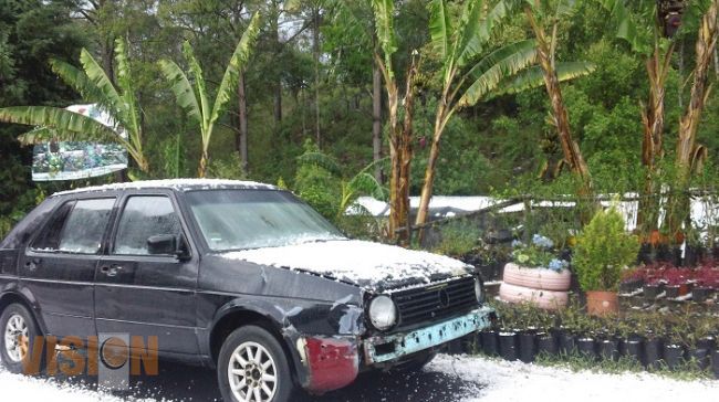 Granizada causa graves daños a la agricultura en Uruapan