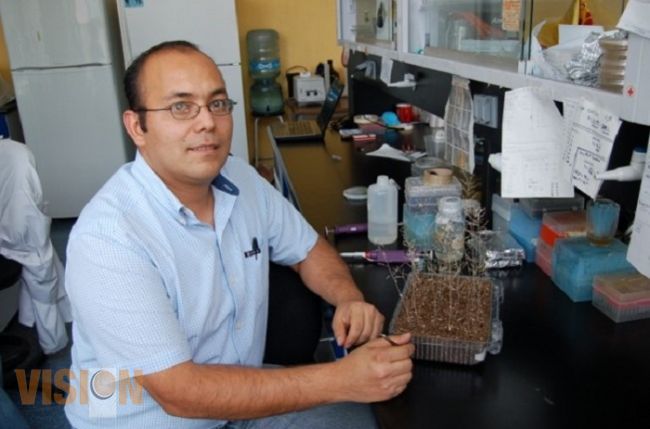 Ganan nicolaitas premio Weizmann de la Academia Mexicana de Ciencias