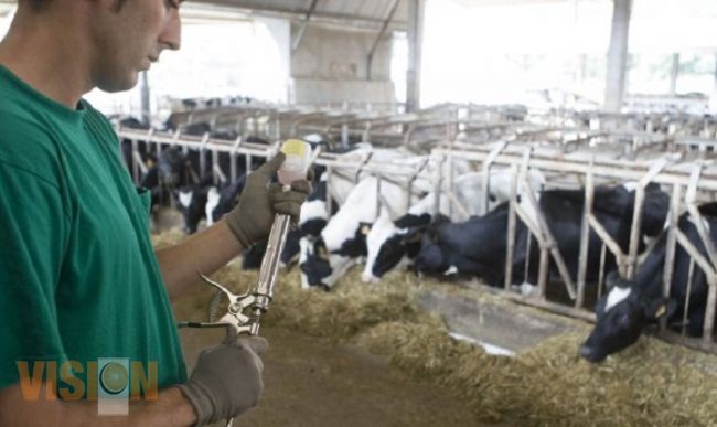 Importante vinculación con proyectos agrícolas entre la UMSNH y productores