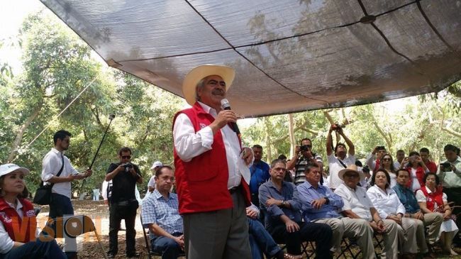 El aguacate, parte fundamental para el desarrollo de Michoacán: Chon Orihuela