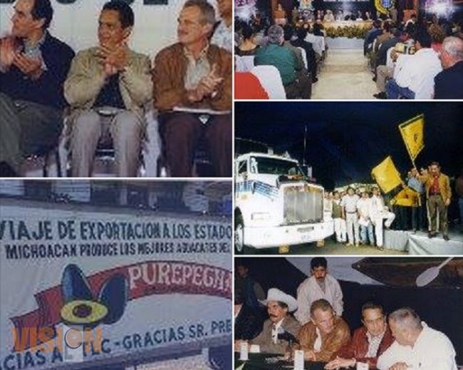 El aguacate michoacano, por Tinoco Rubí